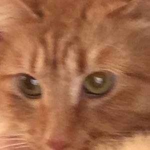 Meet your Posher, Quynn